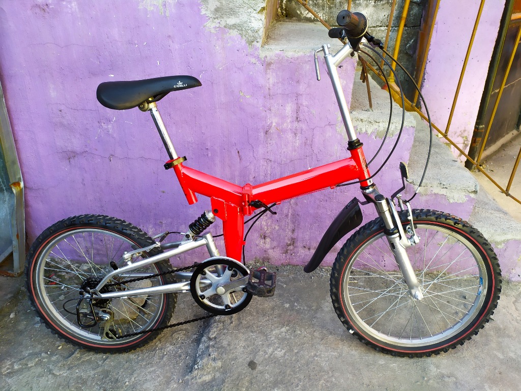 my pallas folding bike