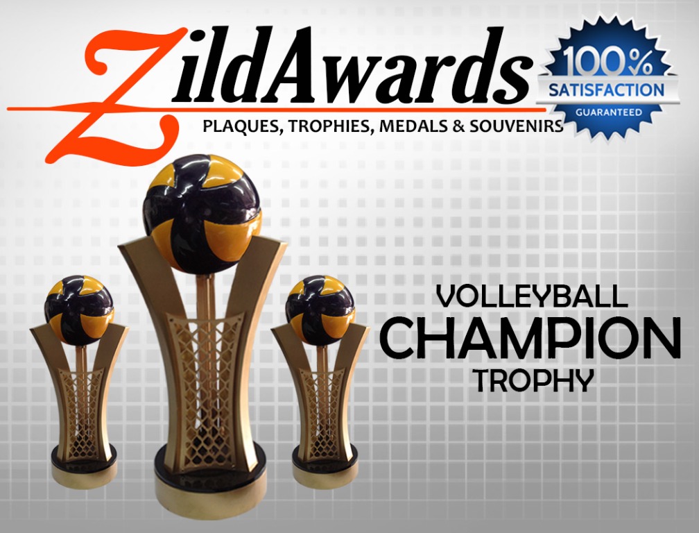 Volleyball Trophy for Sale, Sports Equipment, Other Sports Equipment