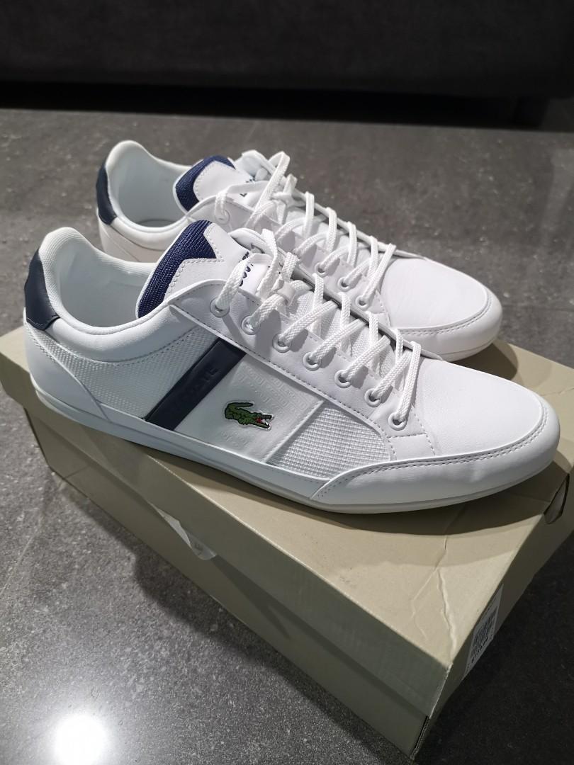 lacoste grey mens shoes