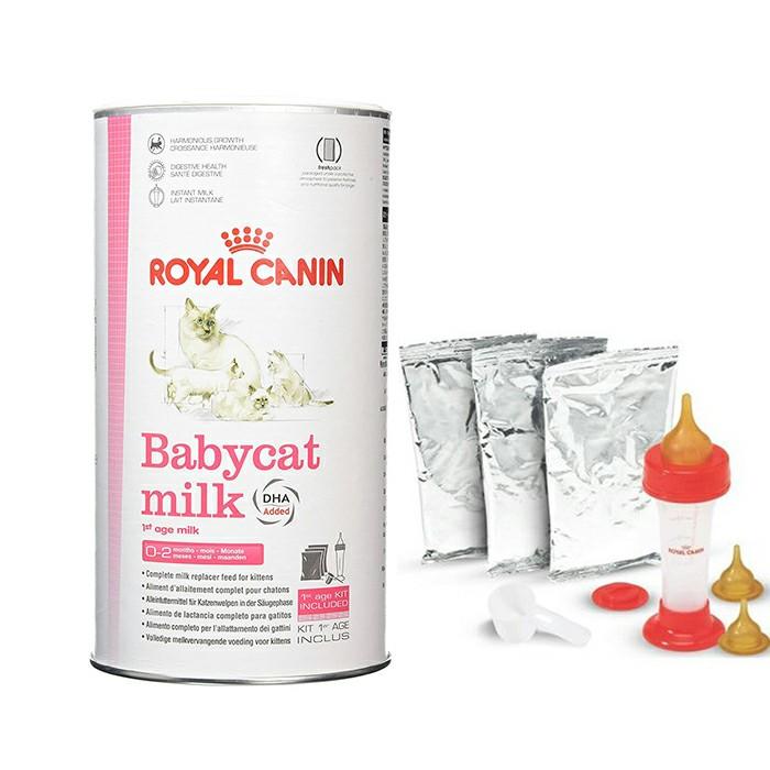 Royal Canin Babycat Milk Pet Supplies For Cats Cat Food On Carousell