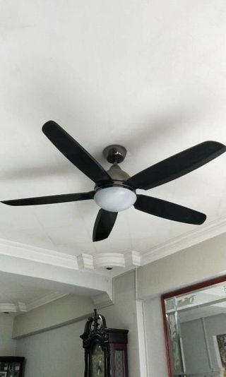 Ceiling Fan repair & service