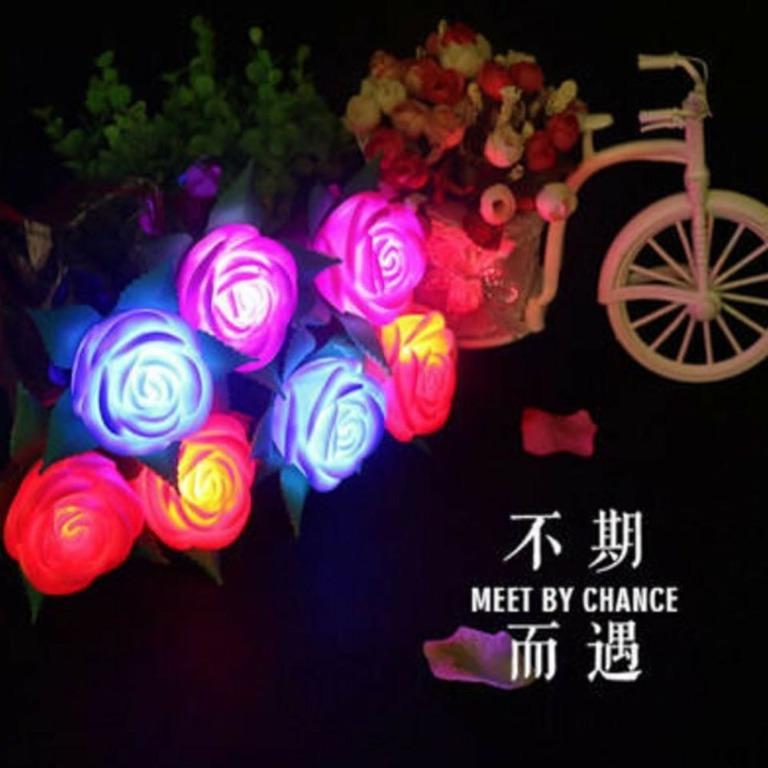 LED ROSE BOUQUET LIGHTS SHINING FLOWER, Community on Carousell