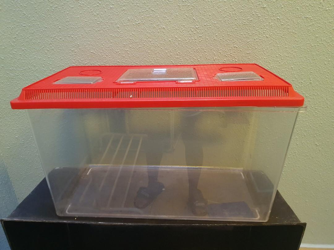 Plastic fish tanks for sale online