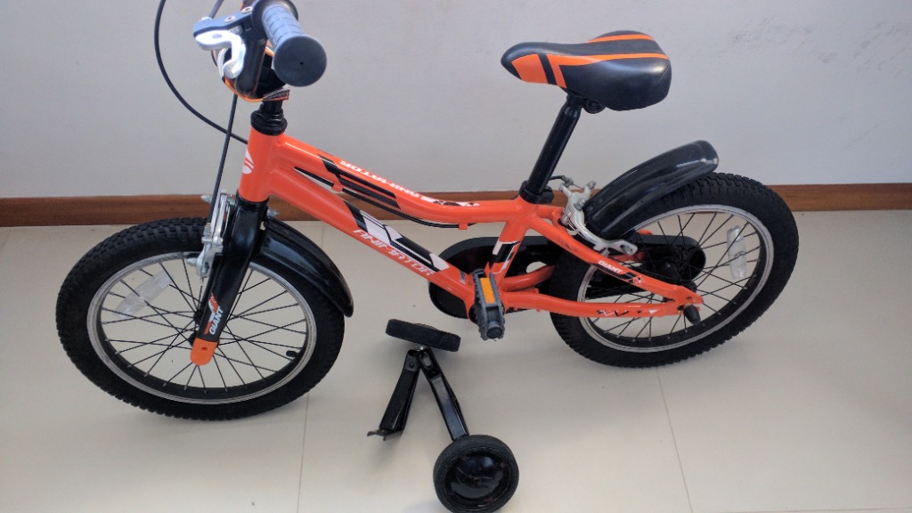 Giant kids bike 16 deals