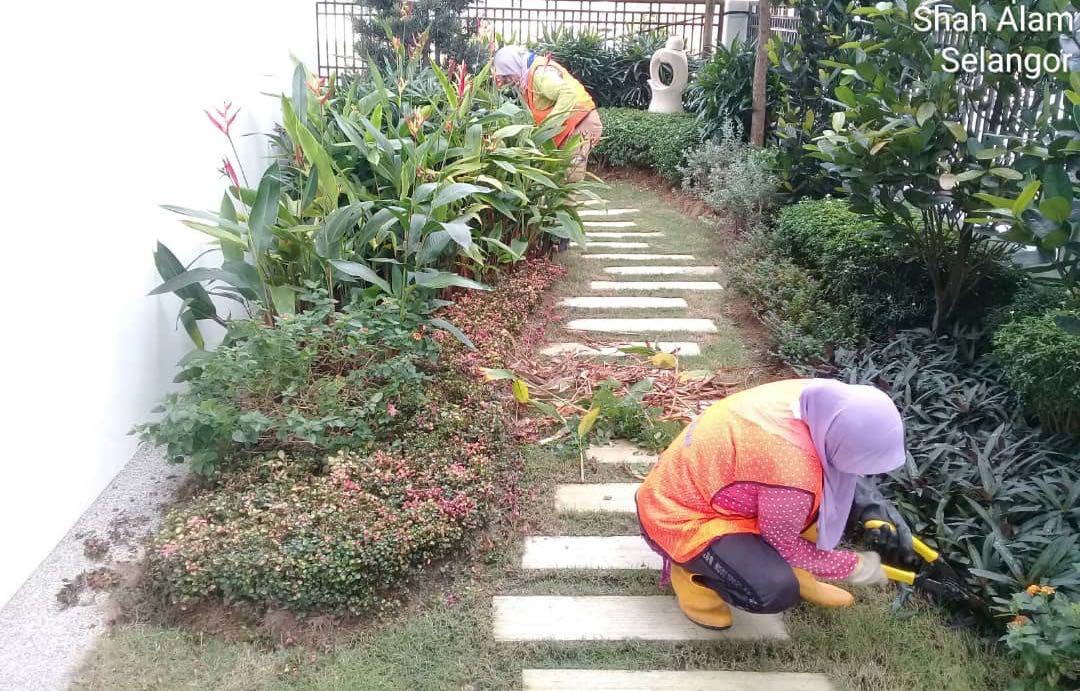 Servis Kemaskan Landskap Halaman Rumah Anda Home Furniture Gardening On Carousell