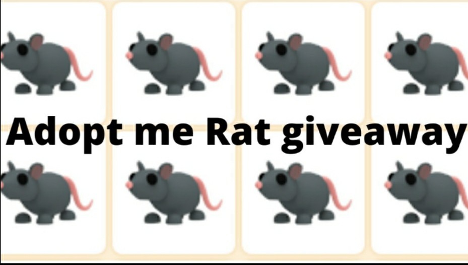 Adopt Me Rats Giveaway Extended Toys Games Video Gaming In Game Products On Carousell - getting a parrot by trading a giraffein roblox adopt me and giveaway read description