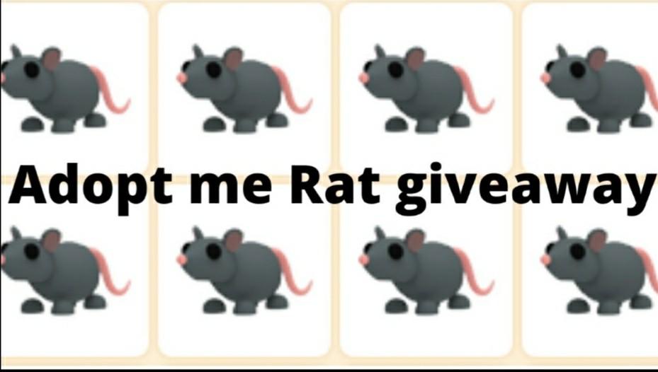 Adopt Me Rats Giveaway Extended Video Gaming Gaming Accessories