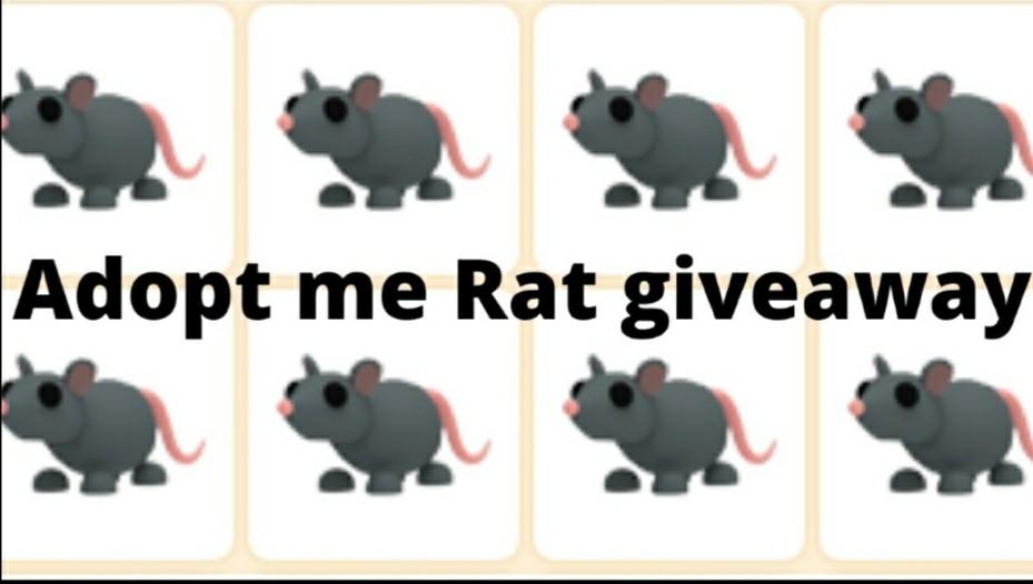 Adopt me rats giveaway (EXTENDED!!), Video Gaming, Gaming Accessories