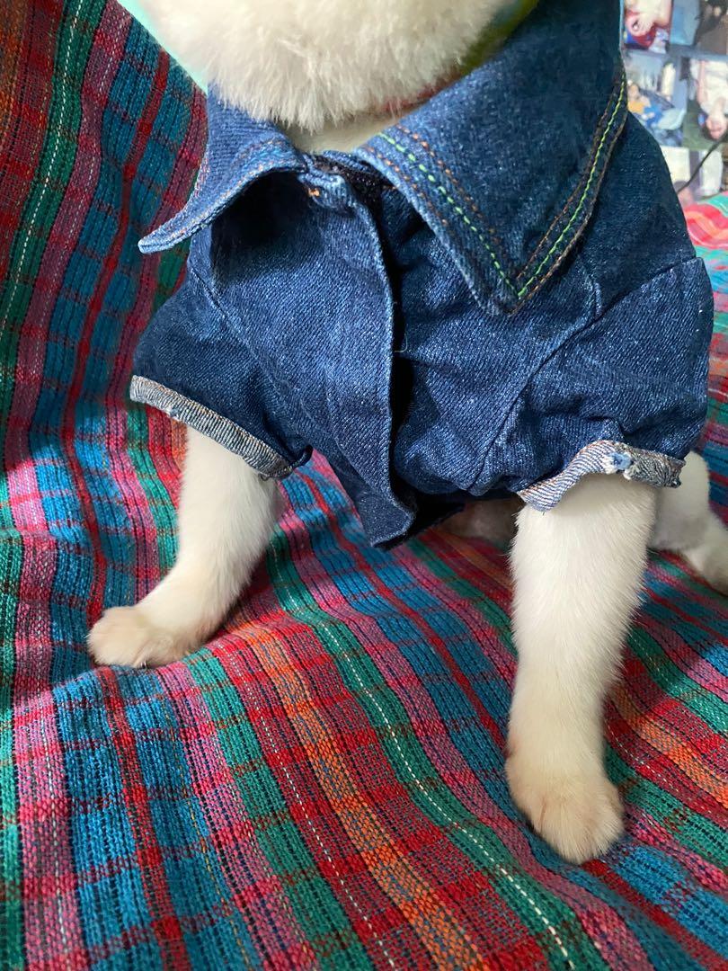 Dog jean jacket pattern online