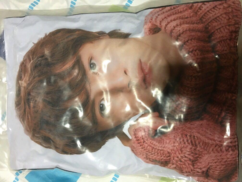 Hua Ze Lei Meteor Garden Pillow Home Furniture Home Tools And Accessories On Carousell