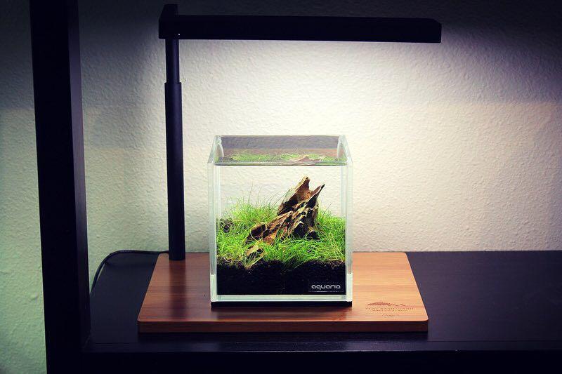 onf flat nano led light