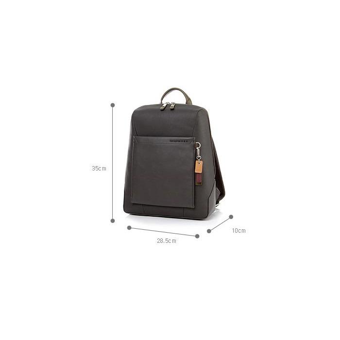Samsonite 2025 brisy backpack
