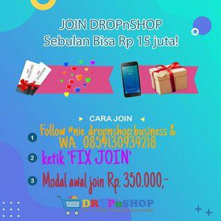 Dropnshop business