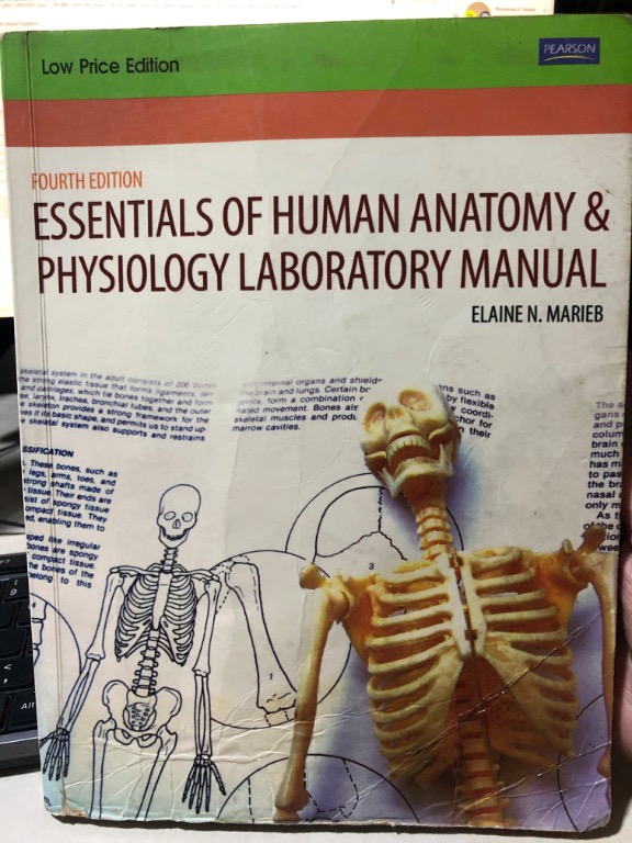 Essentials Of Human Anatomy Physiology Laboratory Manual Textbooks On Carousell