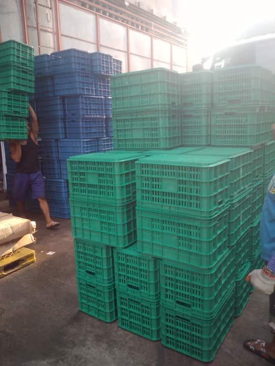 Plastic Crates for Sale, Everything Else, Others on Carousell
