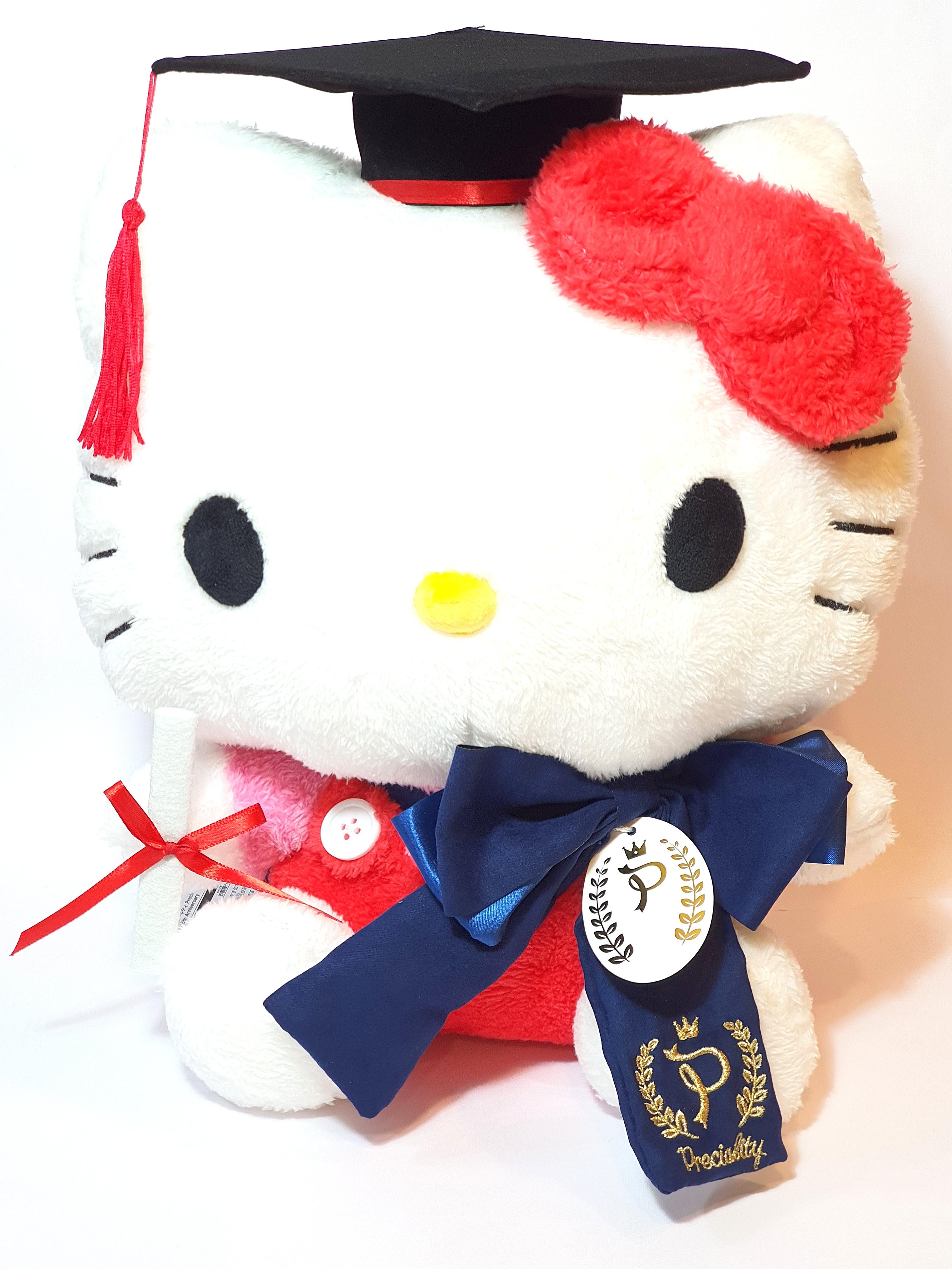 Hello kitty graduation plush hot sale 2019