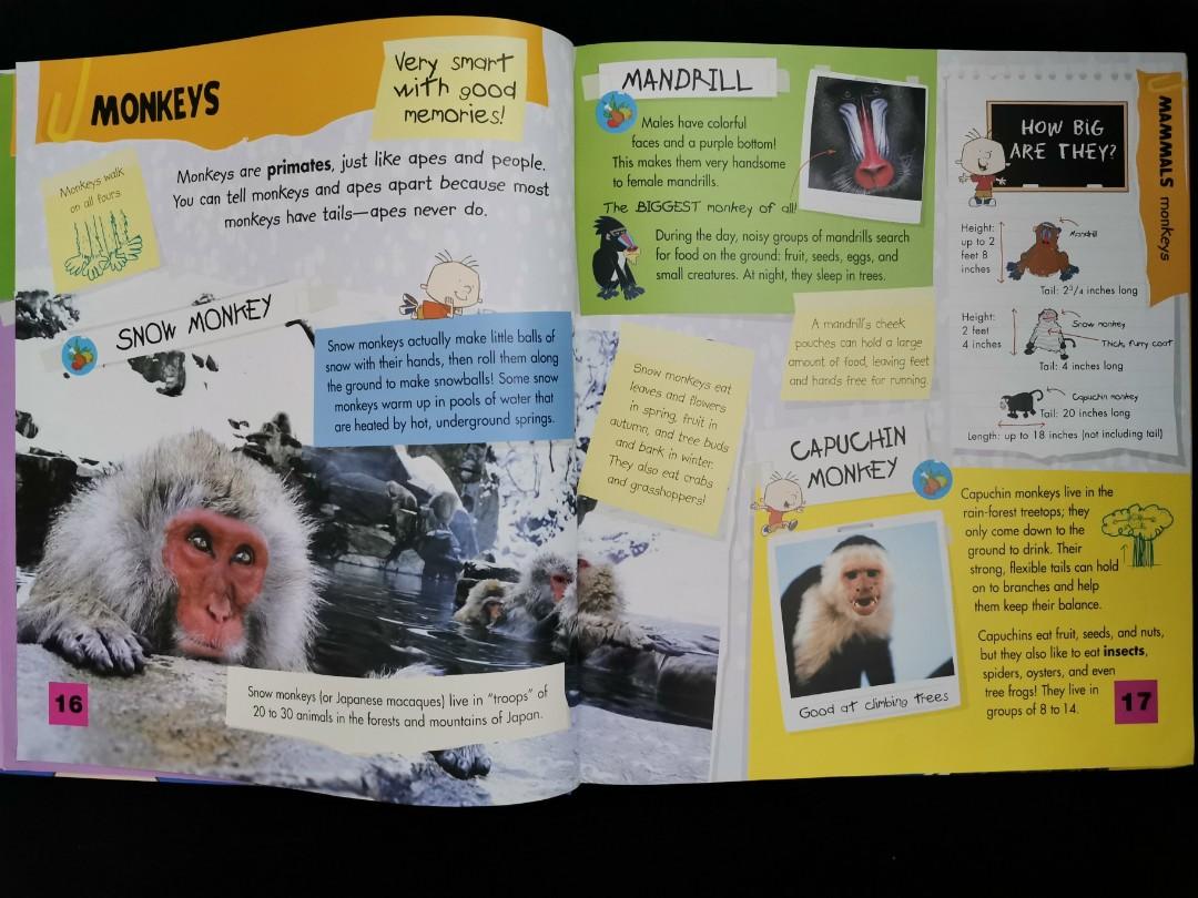 Stanley's Great Big Book of Everything (Playhouse Disney), Hobbies