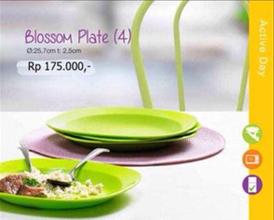 Plate blossom tupperware