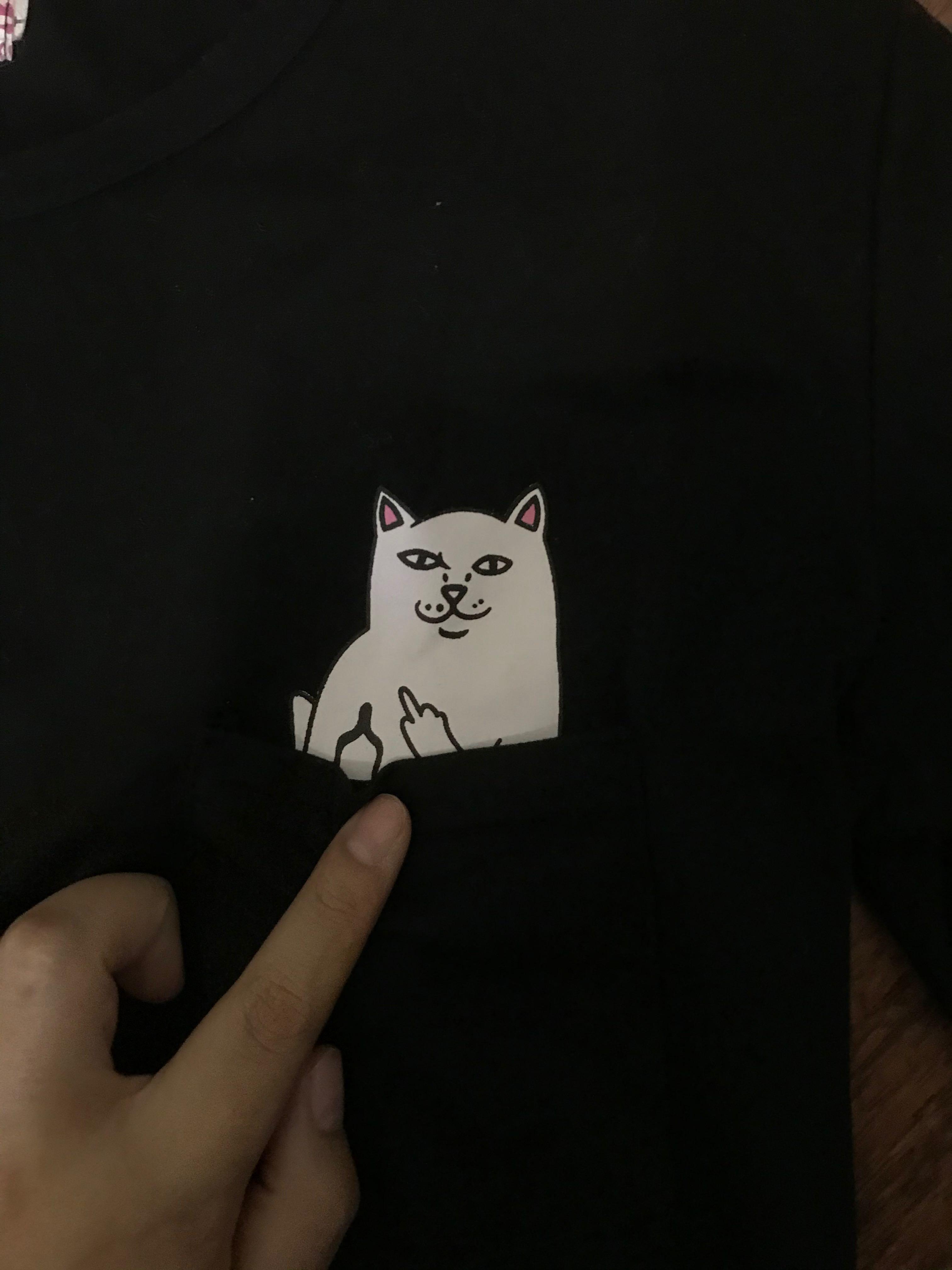 cat pointing middle finger shirt