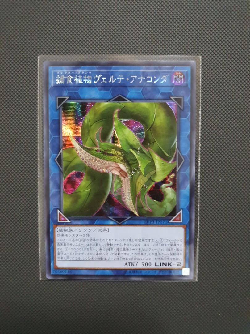 amazoness cards yugioh SGX3-END04 Amazoness Paladin :: Common 1st Edition Mint YuGiOh Card::  Unicorn Cards main image 0