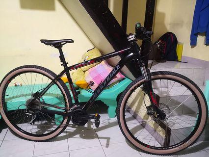 cannondale second hand