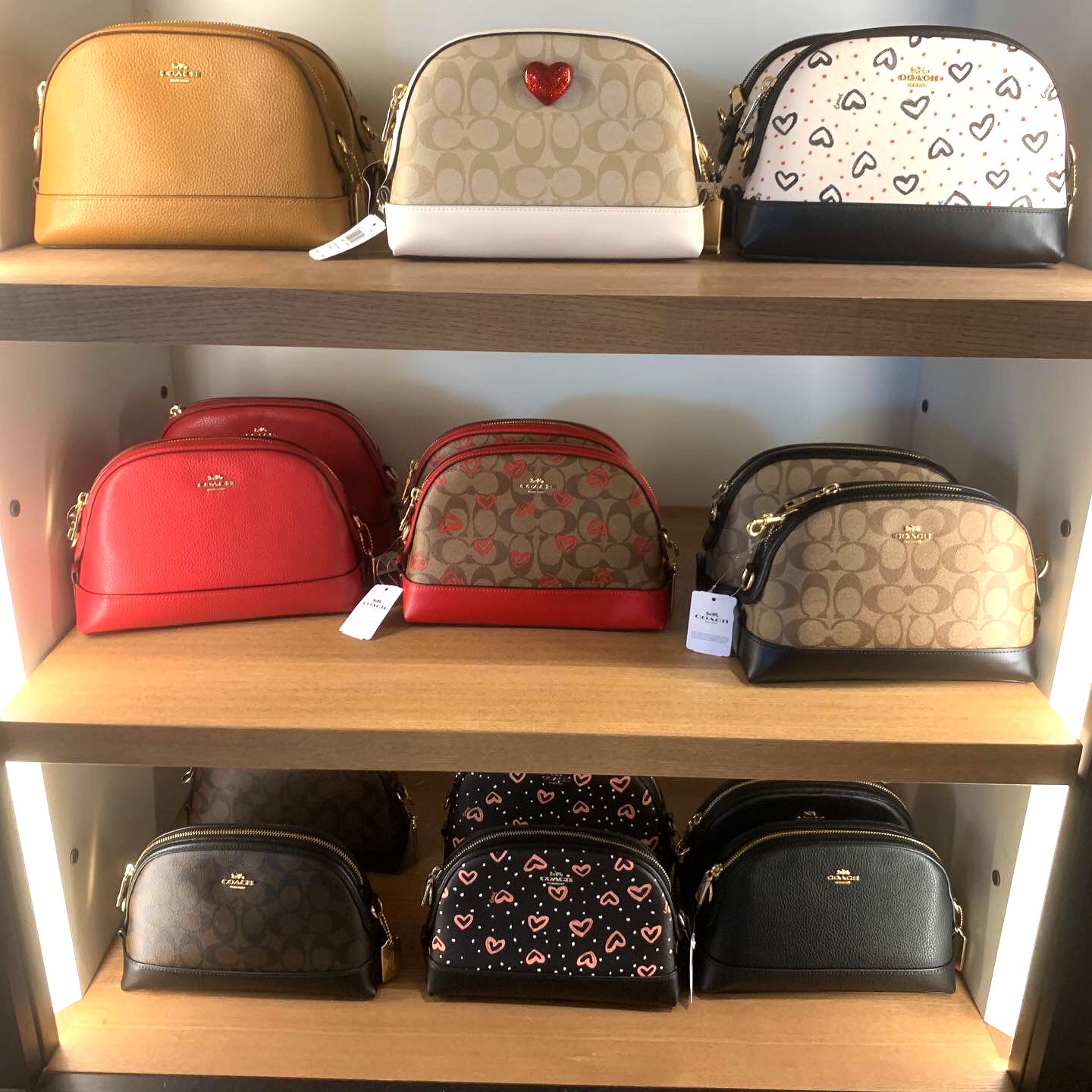 coach heart crossbody bag