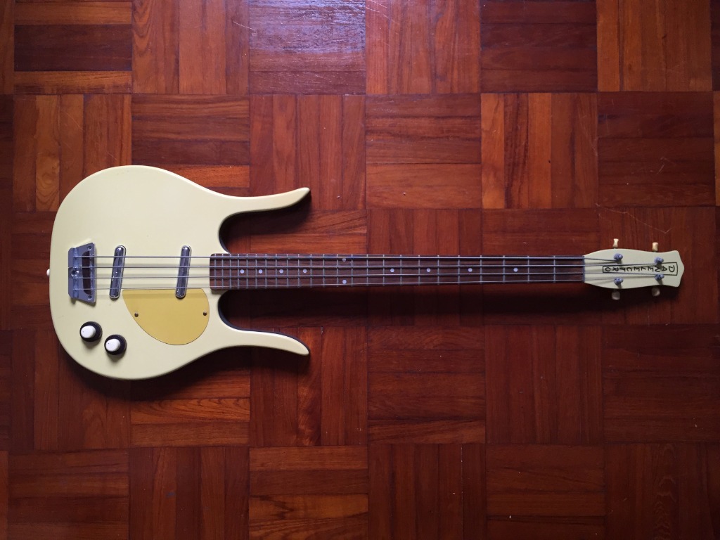 Danelectro longhorn bass top case
