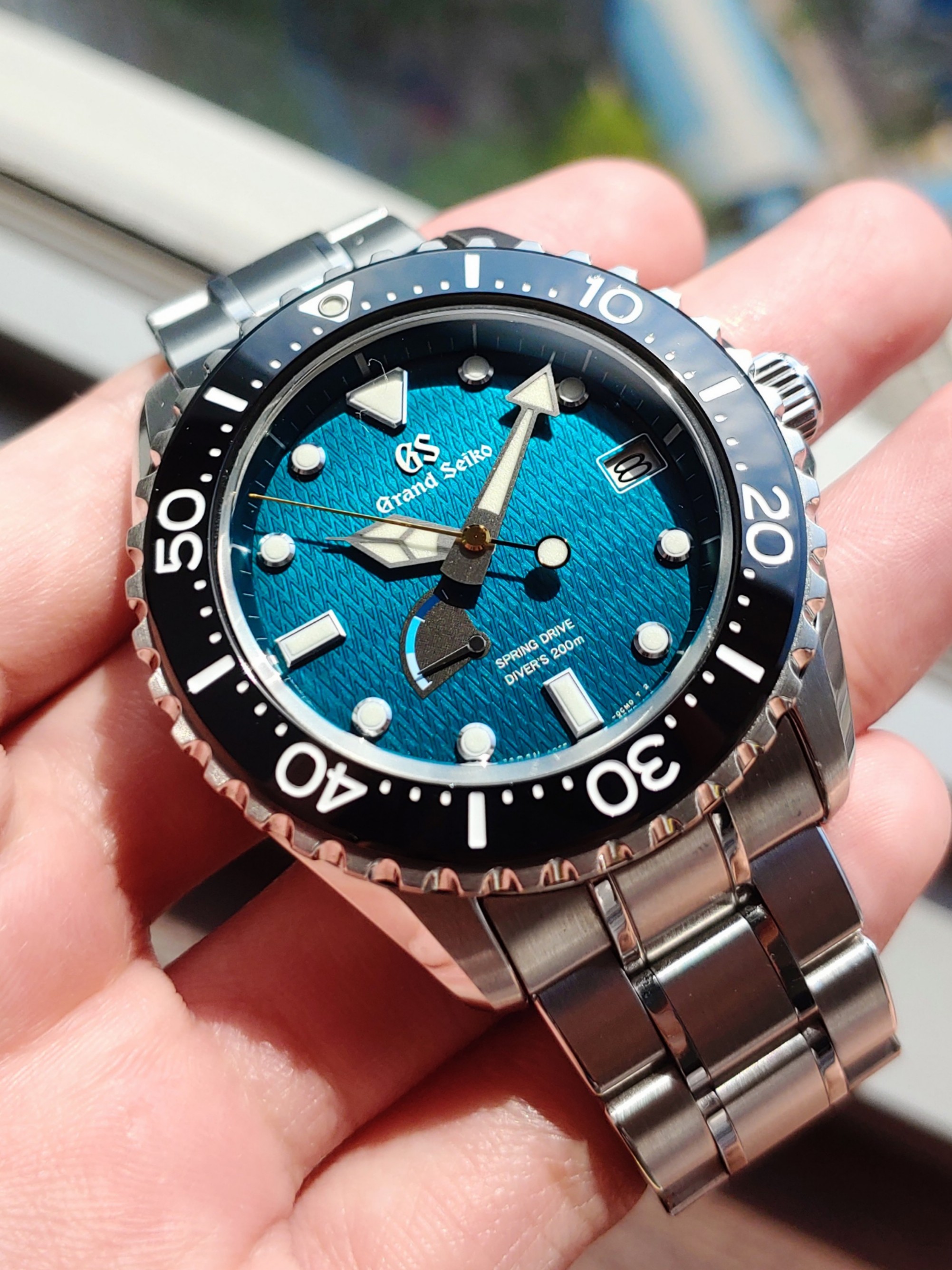 Seiko spring best sale drive dive watch