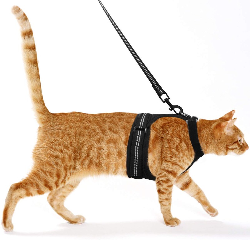 Pawaboo Cat Harness And Leash Adjustable Soft Mesh Vest Walking