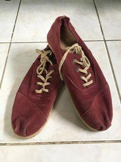 toms clemente sunflower