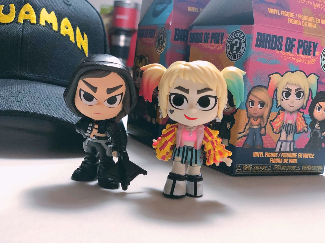 mystery minis birds of prey