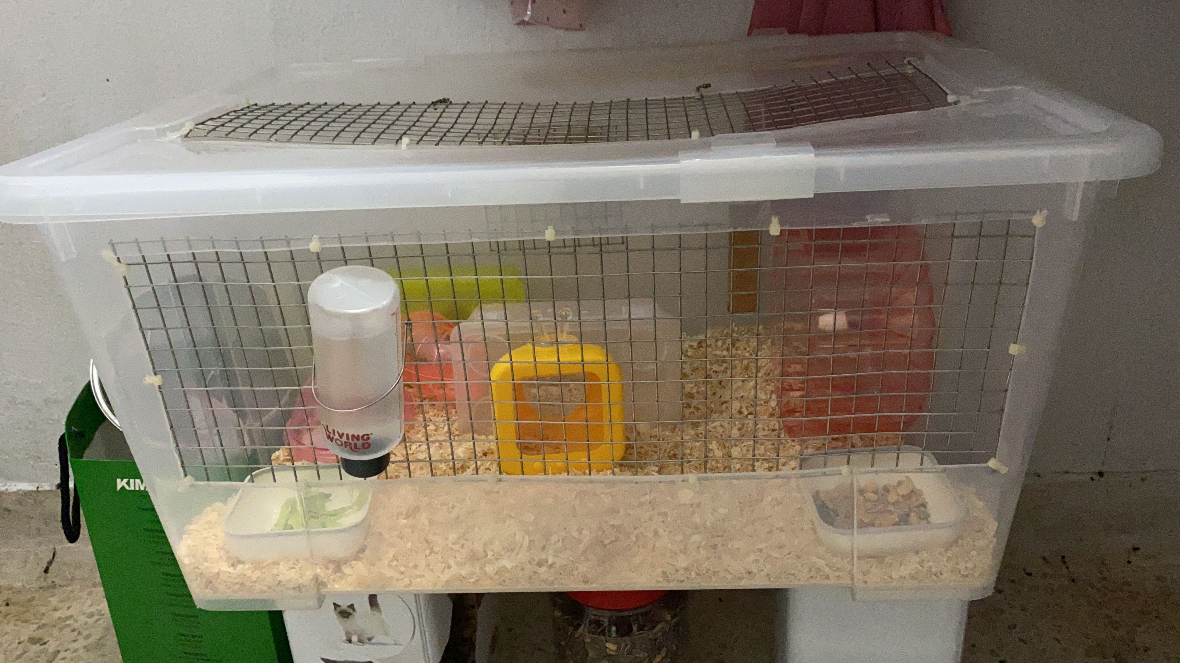 Hamster Bin Cage