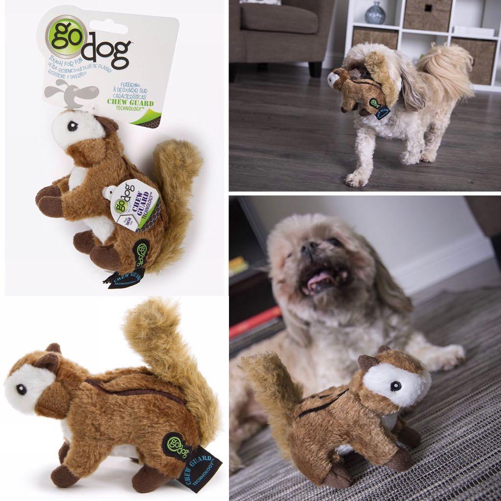 squeaky chipmunk dog toy