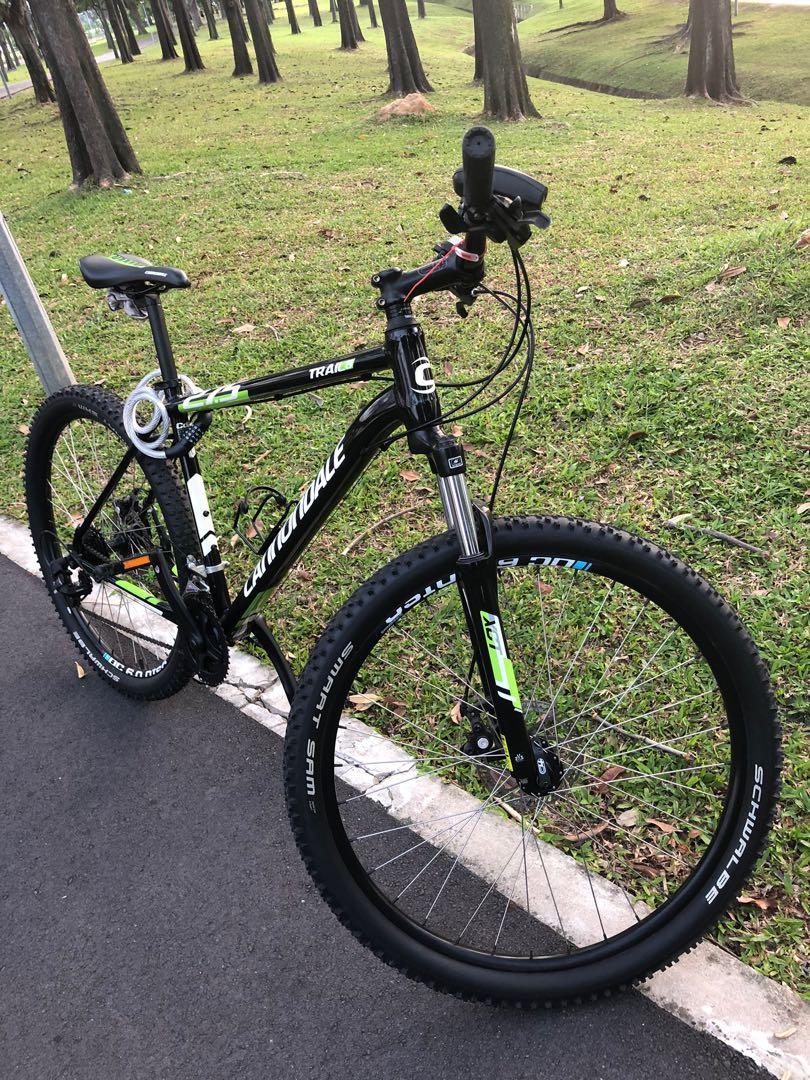 cannondale mountain bike large