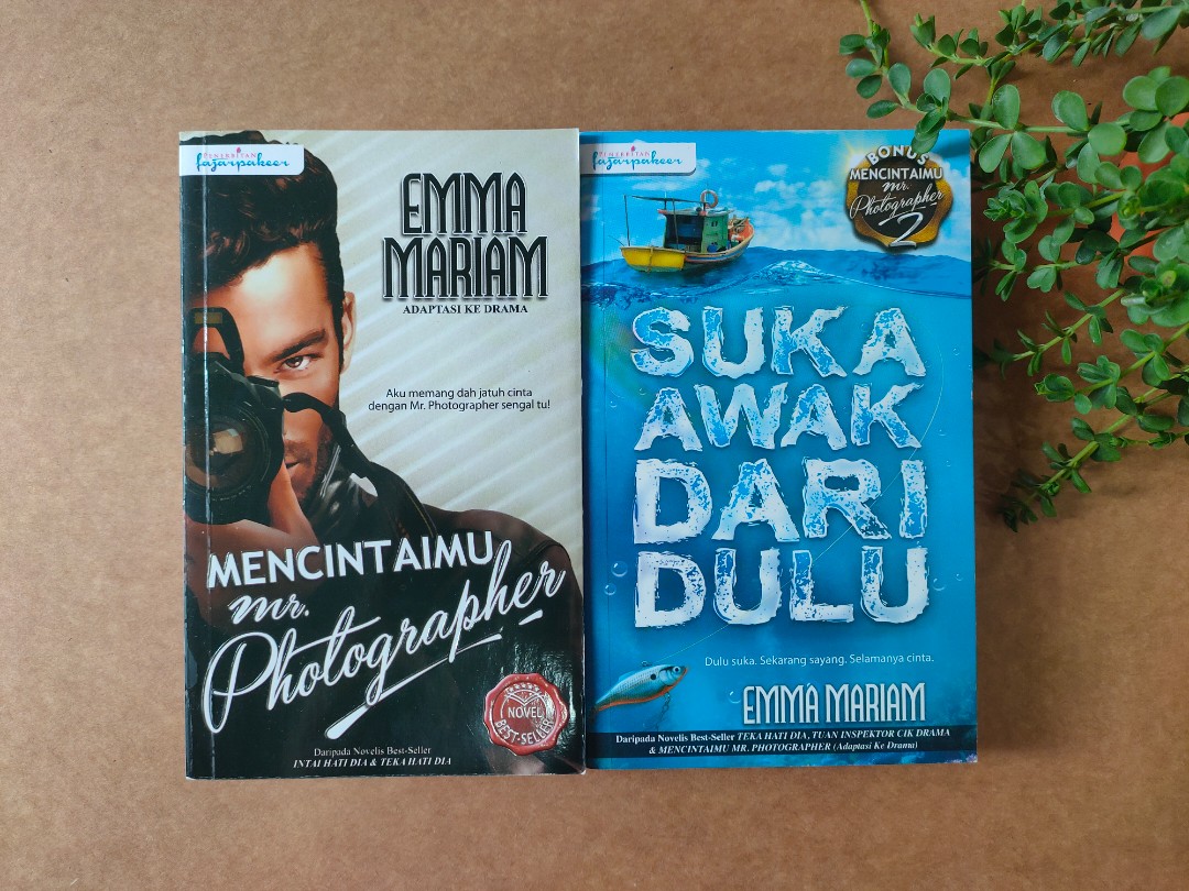 novel mencintaimu mr photographer