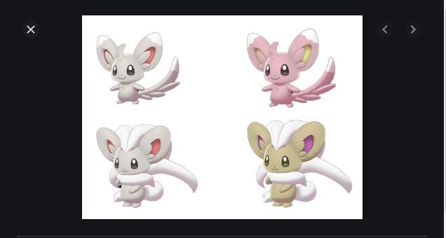 minccino evolution