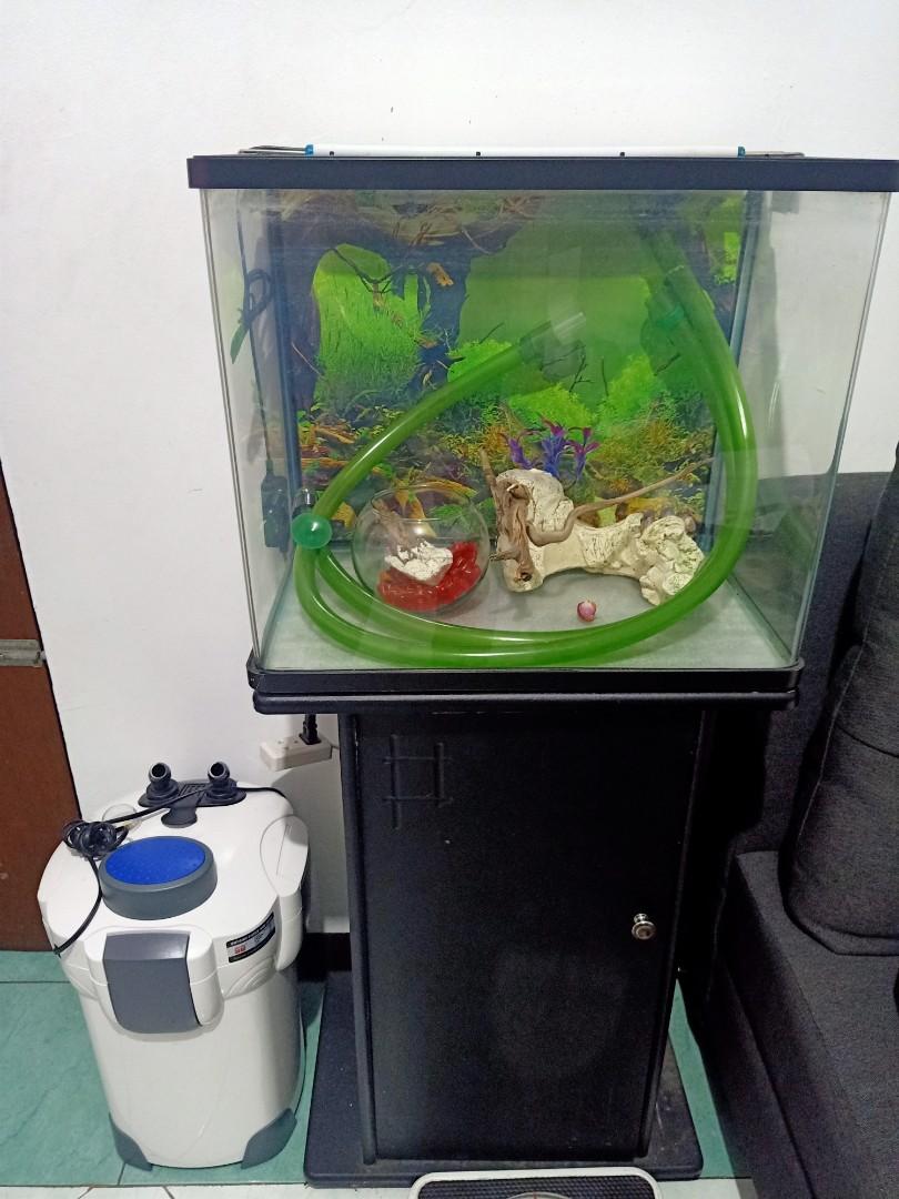 Aquarium set w/ canister filter and stand, Pet Supplies, Homes