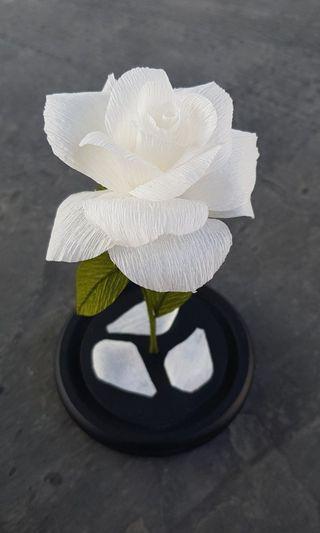 White Rose in Glass dome