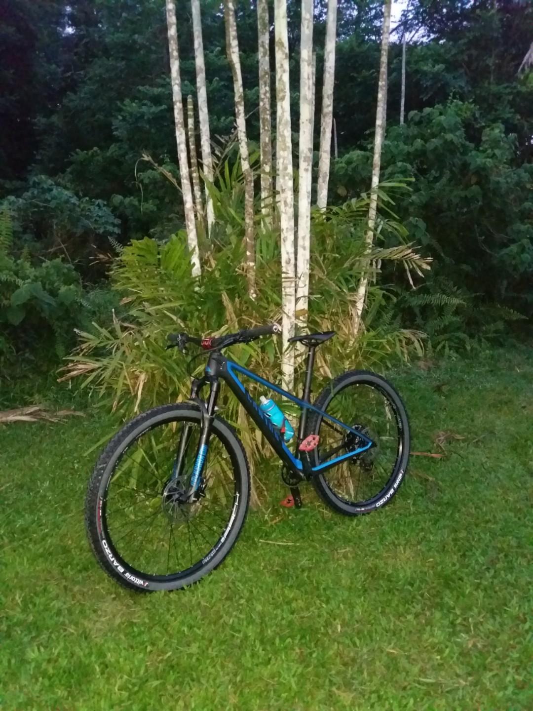 canyon exceed cf 6.0