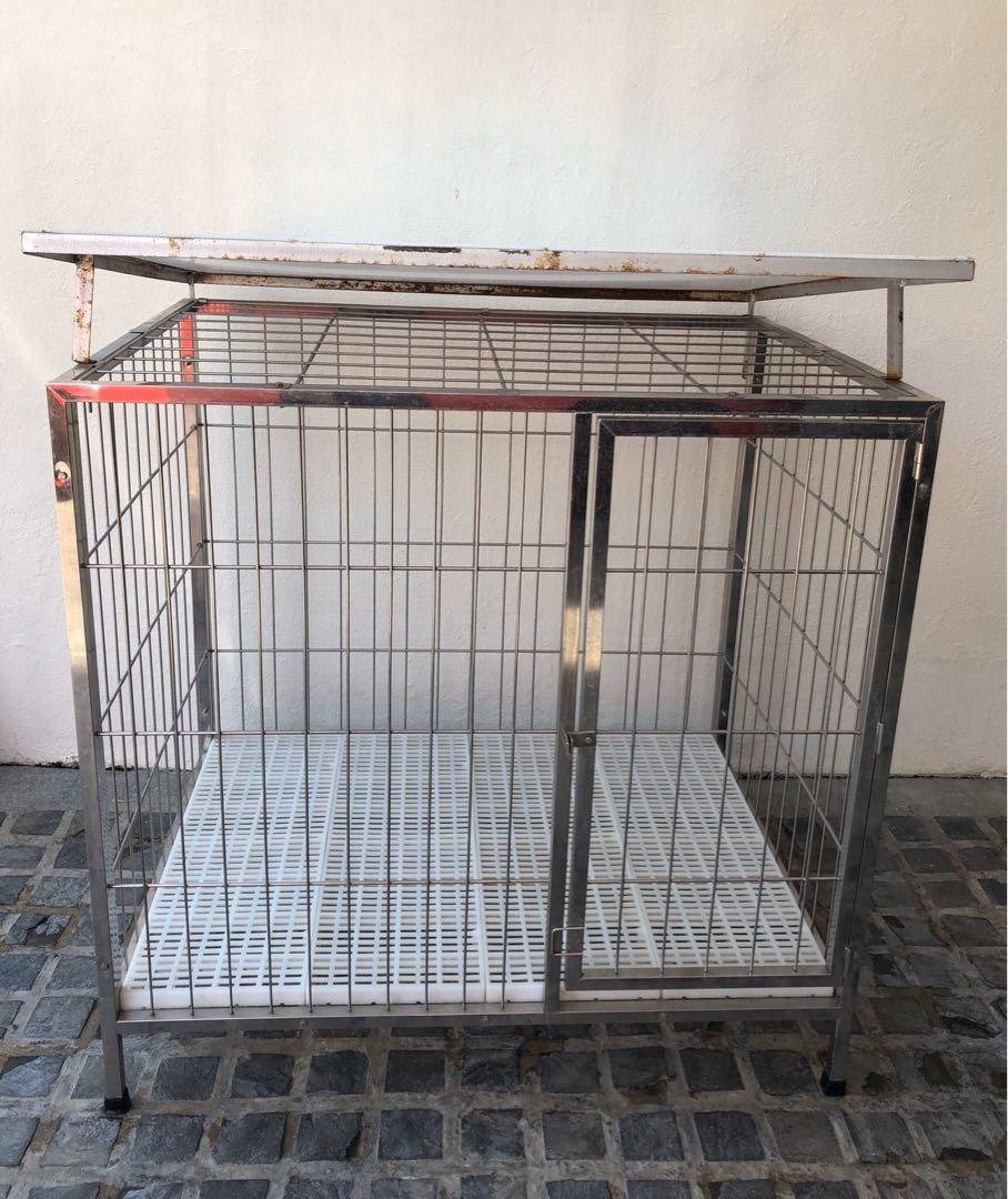 Stainless dog discount cage