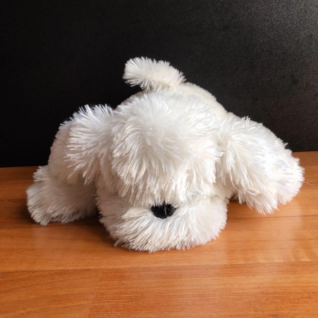 white puppy stuffed animal