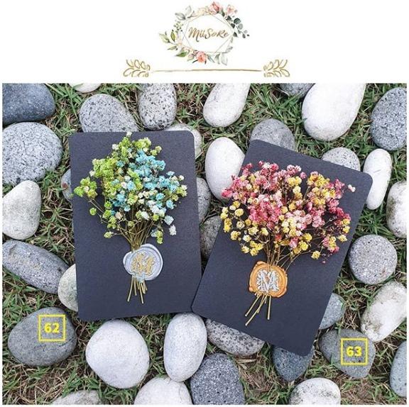 これまでで最高のbaby Breath 花 最高の花の画像