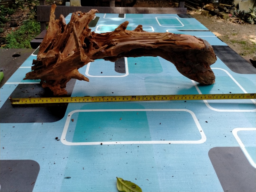 Kayu Hiasan Aquarium Arowana Pet Supplies Pet Accessories On