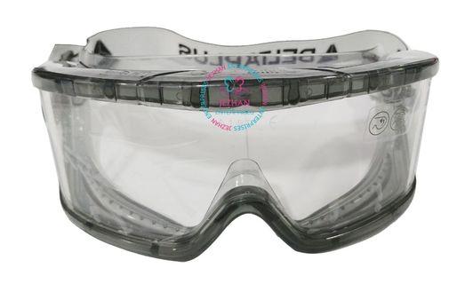 Delta Plus Goggles, or safety glasses