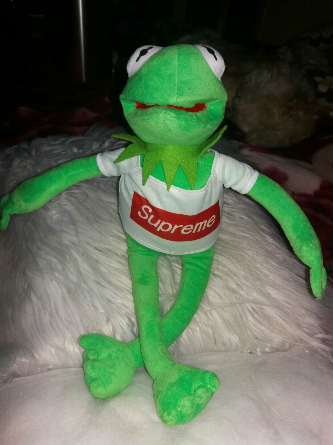 supreme teddy bear for sale