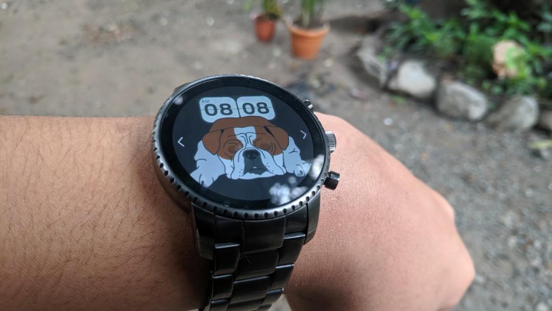 Explorist hr hotsell smoke stainless steel