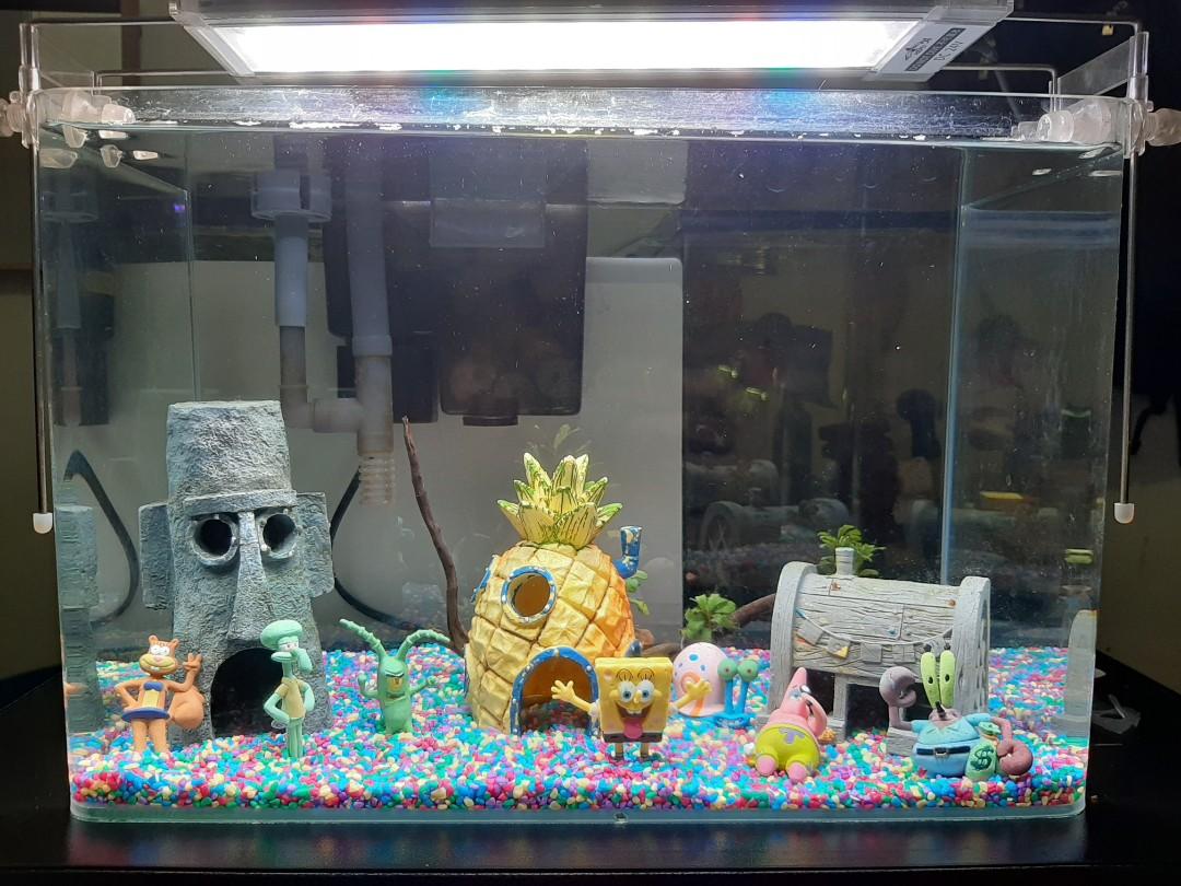 Spongebob Aquarium Set Pet Supplies Homes Other Pet