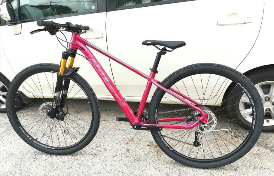 Raleigh enduro 29 clearance