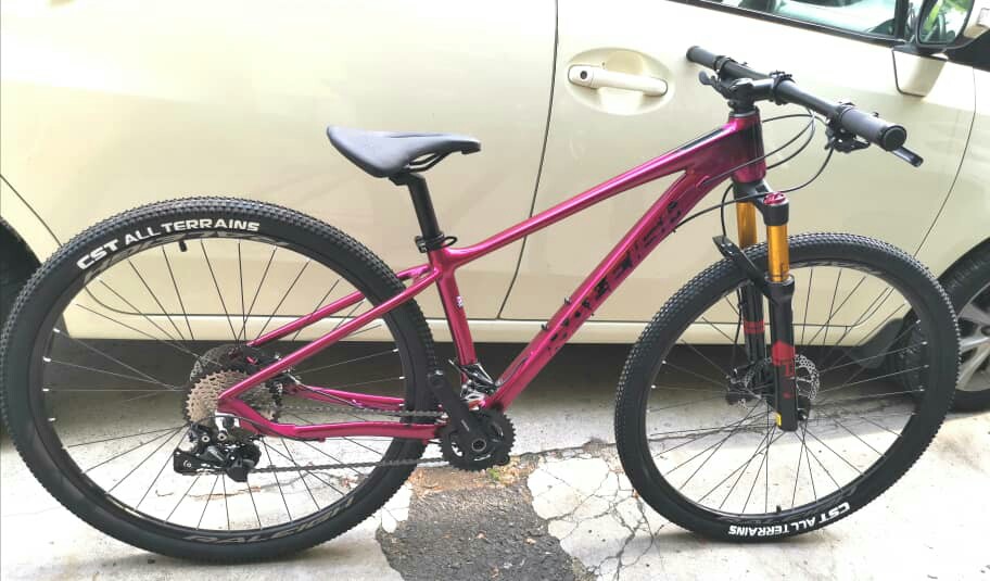 Raleigh sales talon 29er