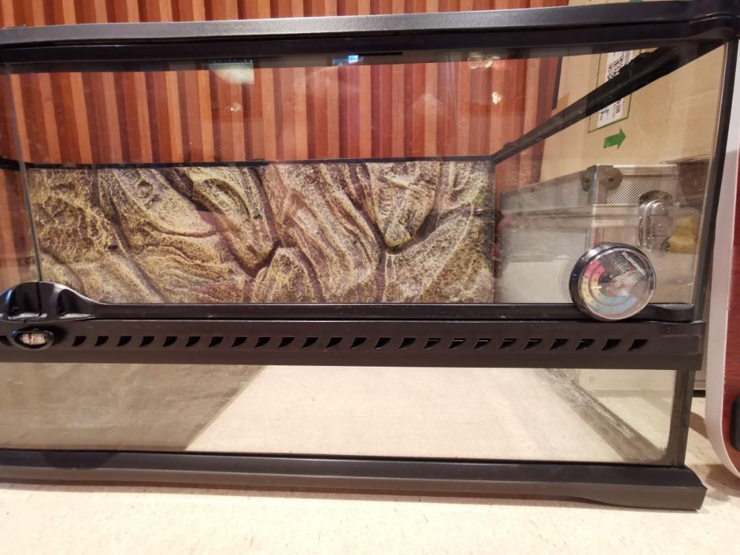 Exo Terra Large Low Terrarium Tank, Pet Supplies, Homes & Other Pet